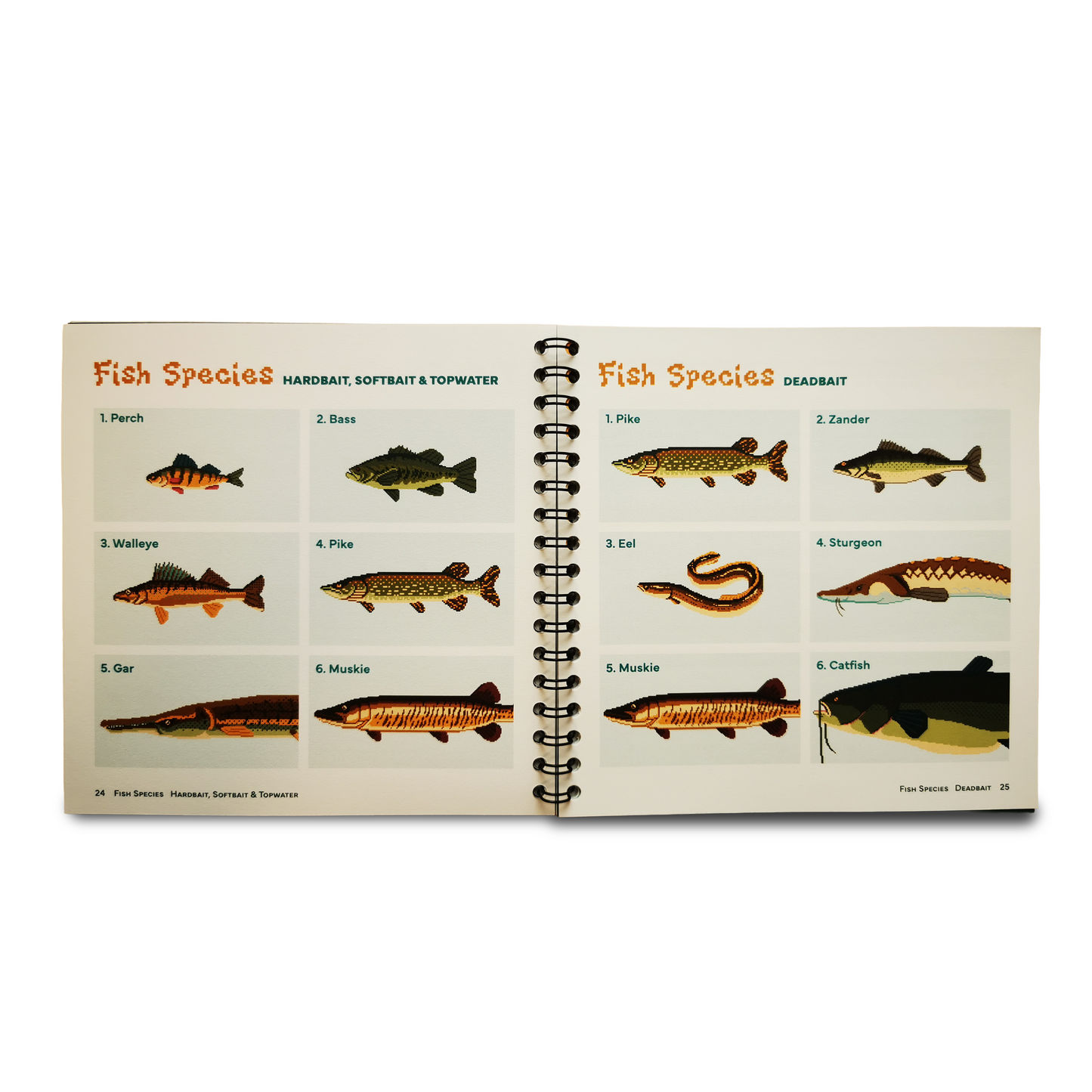 Dinks & Donkeys: A Roll & Write Fishing Game